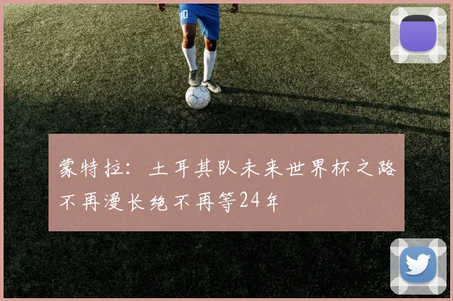 蒙特拉：土耳其队未来世界杯之路不再漫长绝不再等24年