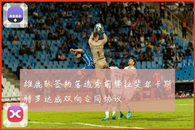雄鹿队签约落选秀前锋拉斐尔卡斯特罗达成双向合同协议